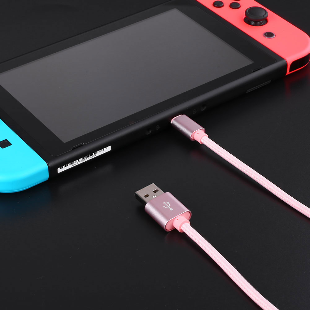 switch type c charger